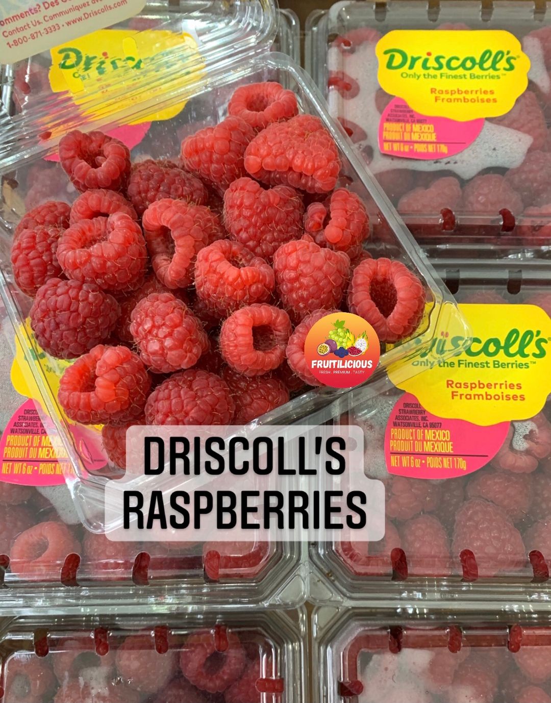 DRISCOLL'S RASPBERRIES