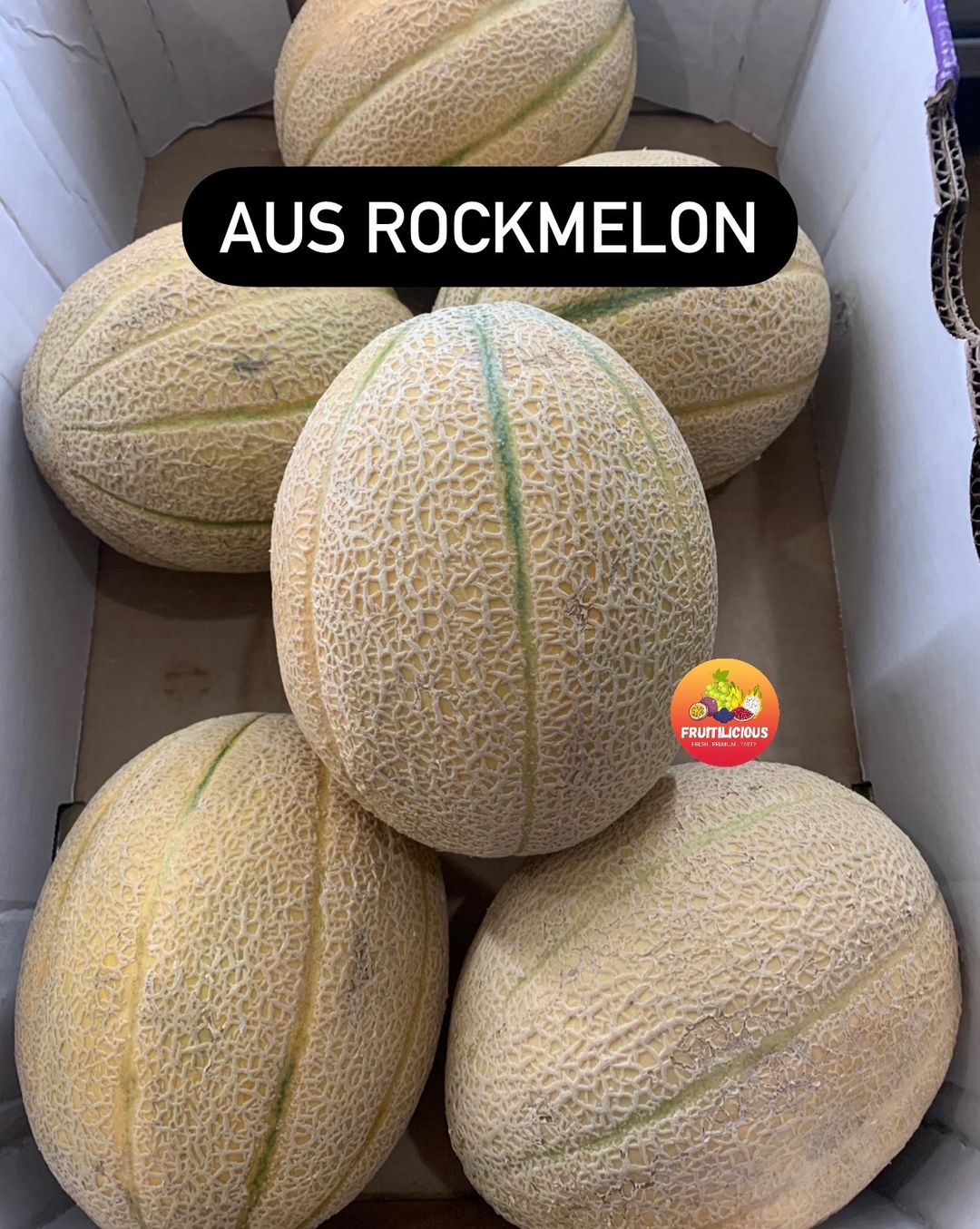 AUS ROCKMELON XL