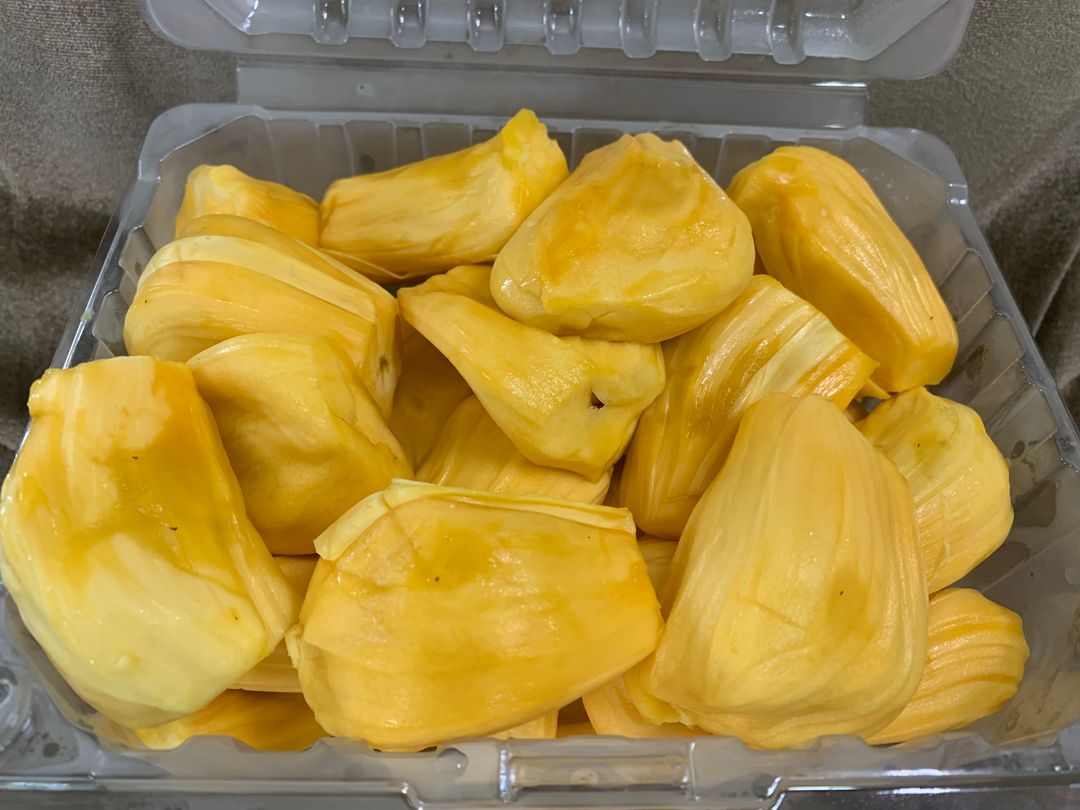 Malaysia Jackfruit D