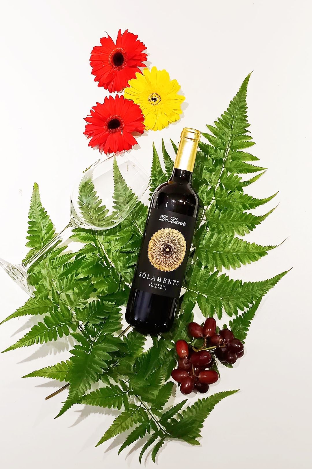 Solamente Tempranillo Red Wine