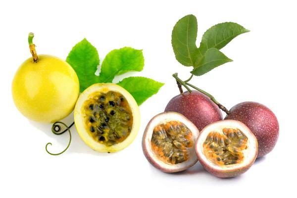 Passion Fruit (Yellow/ Purple) / 百香果(黄/紫)