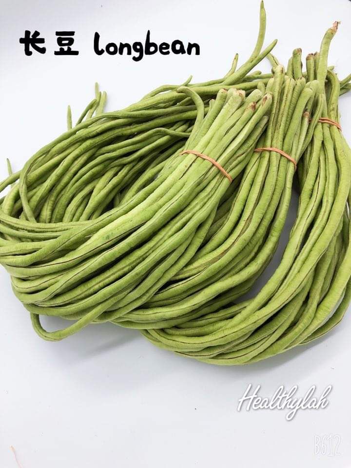 LONG BEAN / KACANG PANJANG 长豆