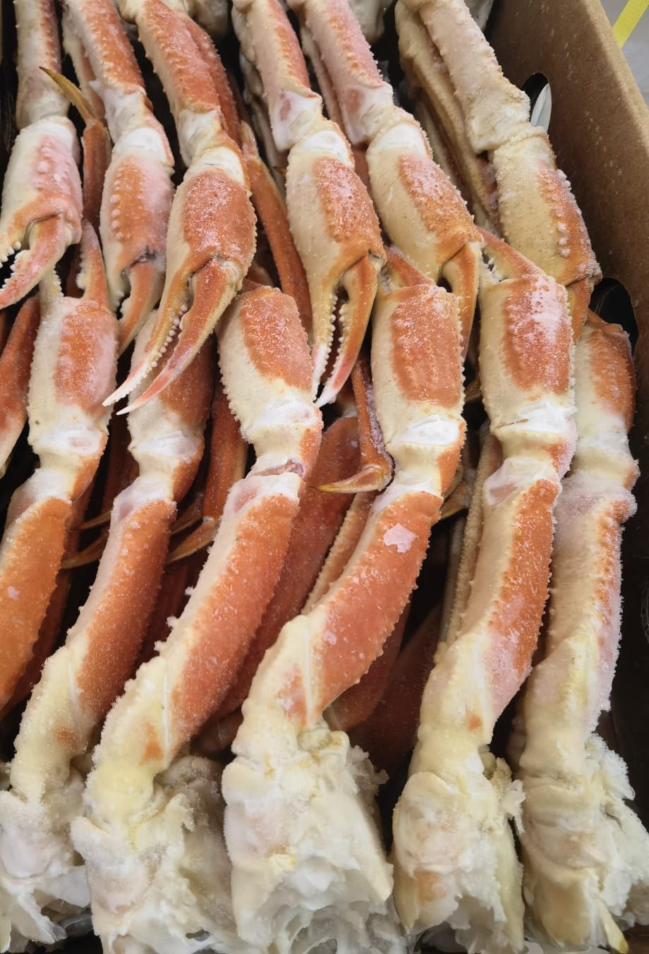 Alaska King Crab (leg) - kg