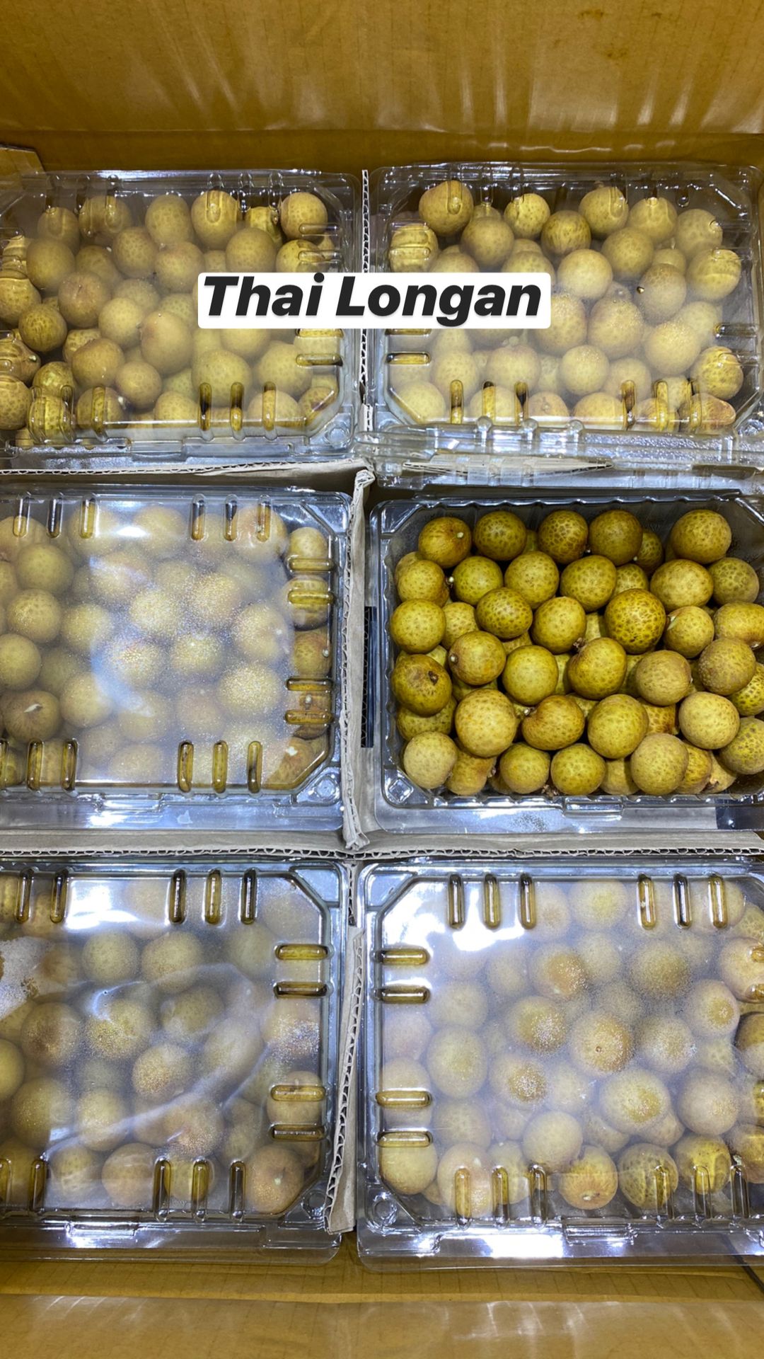 Thai longan