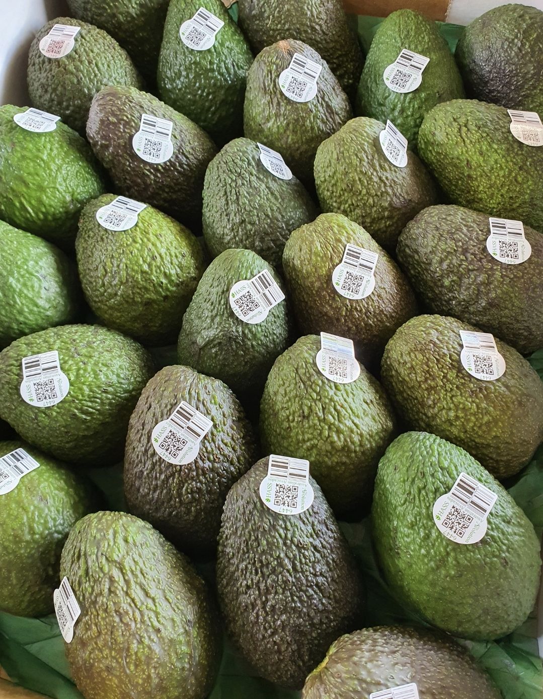 Aust Hass Avocado (4 per set)