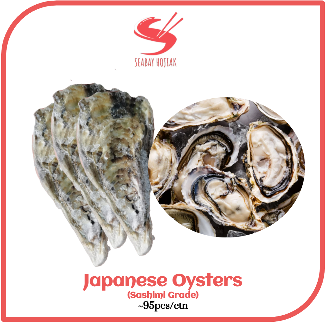 Japanese Oysters (Sashimi Grade) ~95pcs