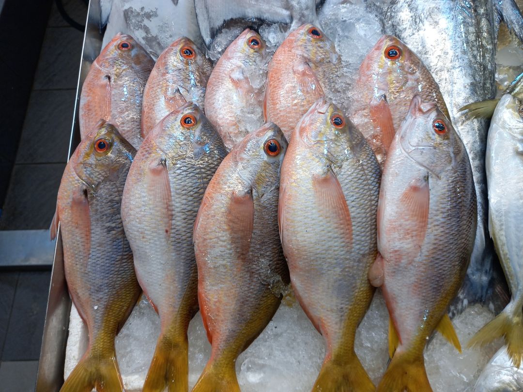 Yellow Tail Fish 番薯鱼 