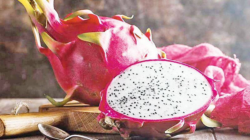 Red dragon fruit(4 pcs) 