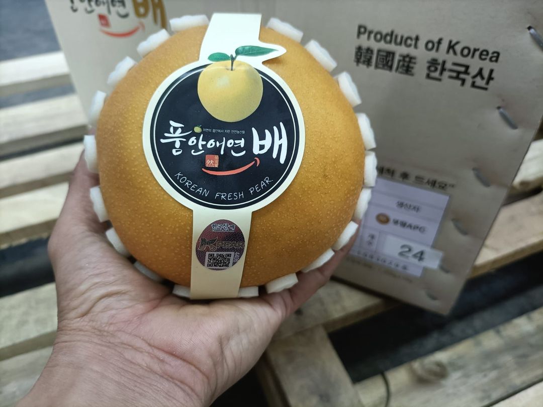 Korea Singo Pear 