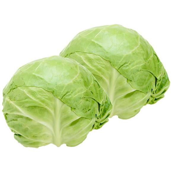 Cabbage 包菜