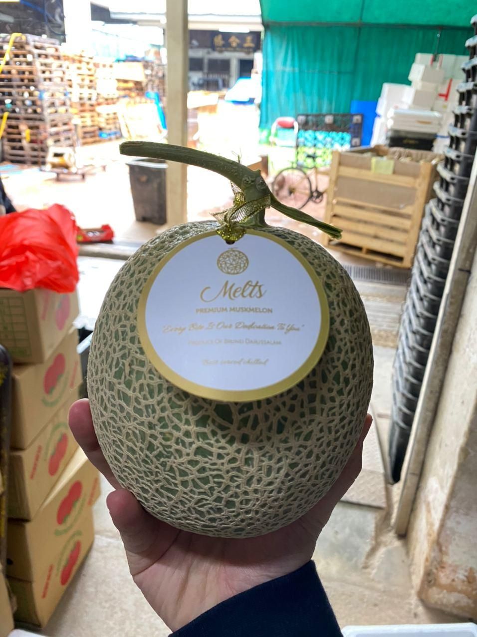  Japanese grade musk melon