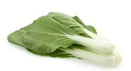 Tai Pak Choy 大白菜
