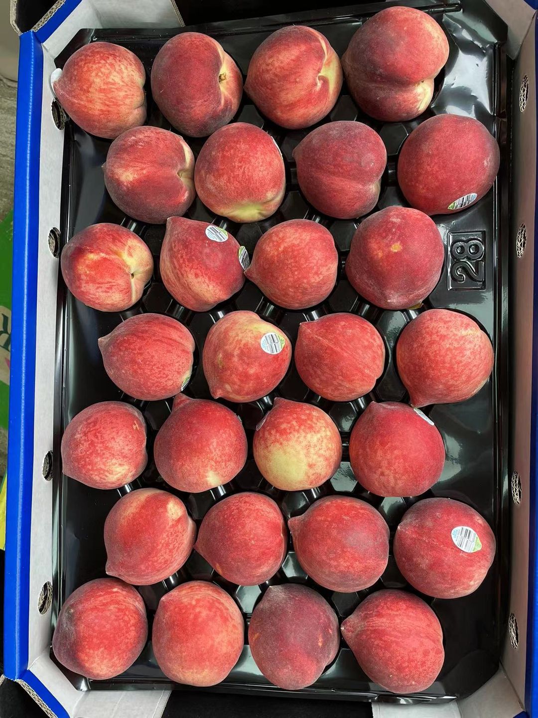 🍑 澳洲大白桃 -$10/4粒