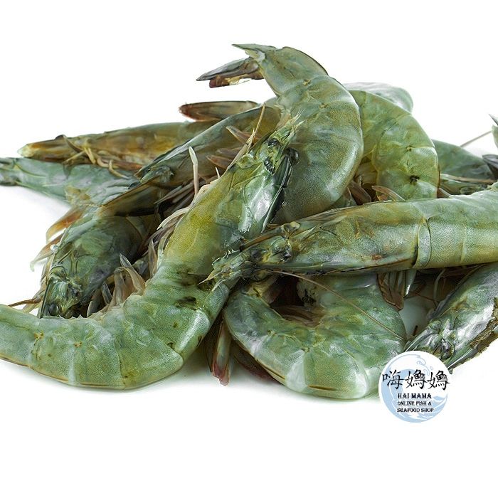 Grey Prawns 灰虾