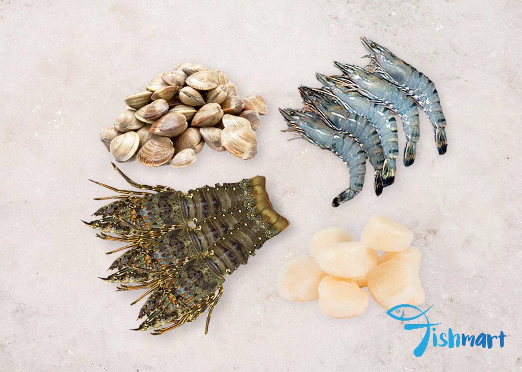 Shellfish Bundle