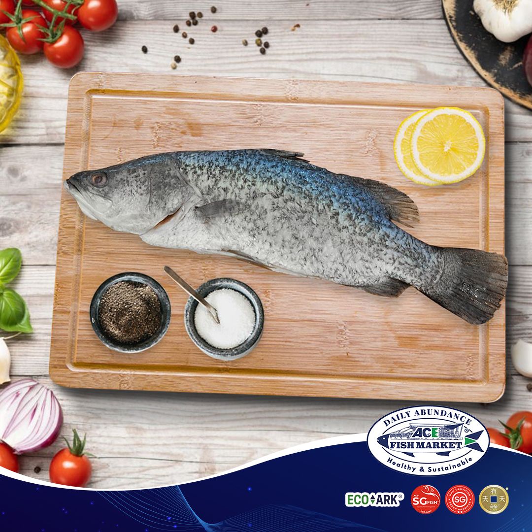 Fresh Frozen Seabass Whole Cleaned (250gm-1kg) - ACE®️ SG-Fish™️ 100% SINGAPORE PRODUCED