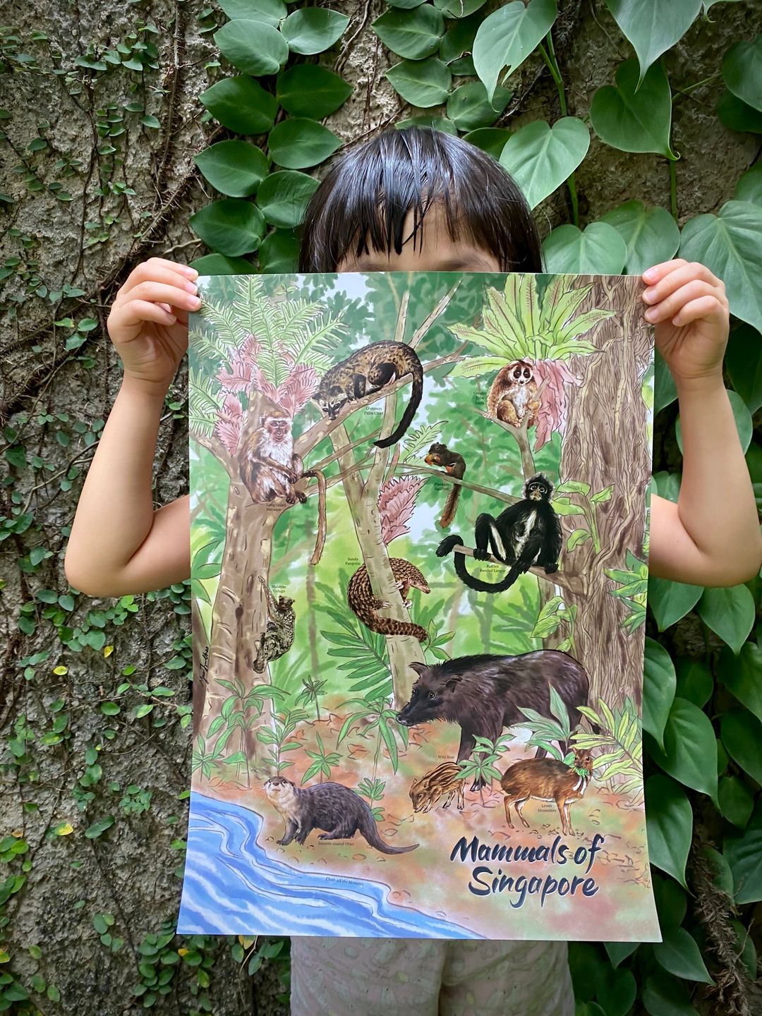 Mammals of Singapore A3 Poster, Limited edition with forest background 