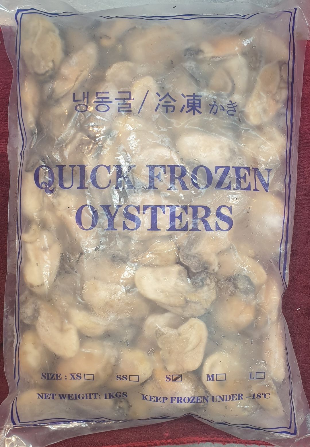 Frozen Oyster