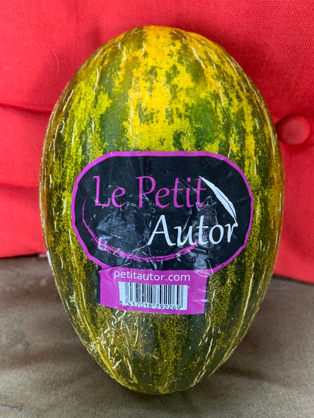 Sapo Melon Originating in Spain 
