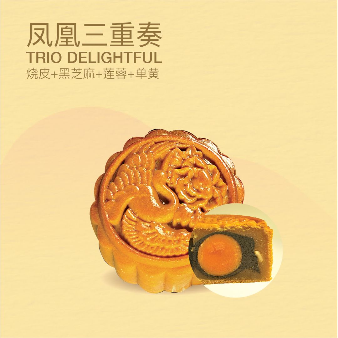 MC 15 TRIO DELIGHTFUL 凤凰三重奏