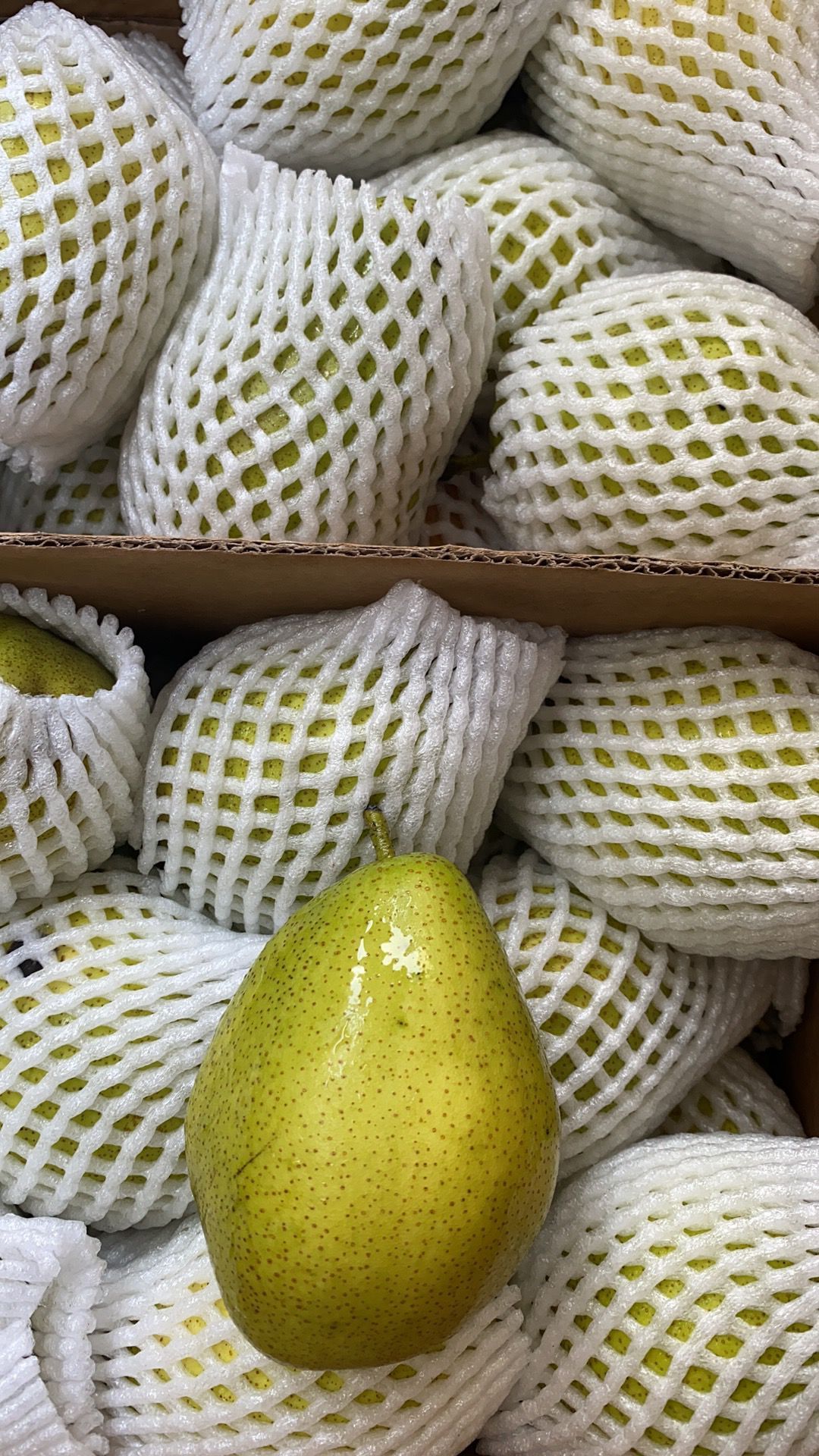 🍐库尔乐香梨 Pears -$19/1箱/~6.5-7kg
