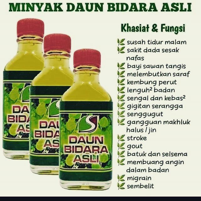 Minyak Bidara Asli