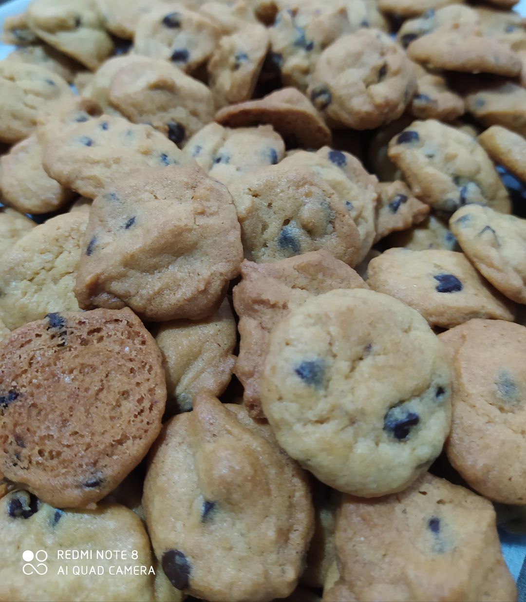 Choc chip cookies 