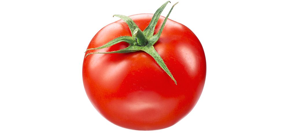 Tomate