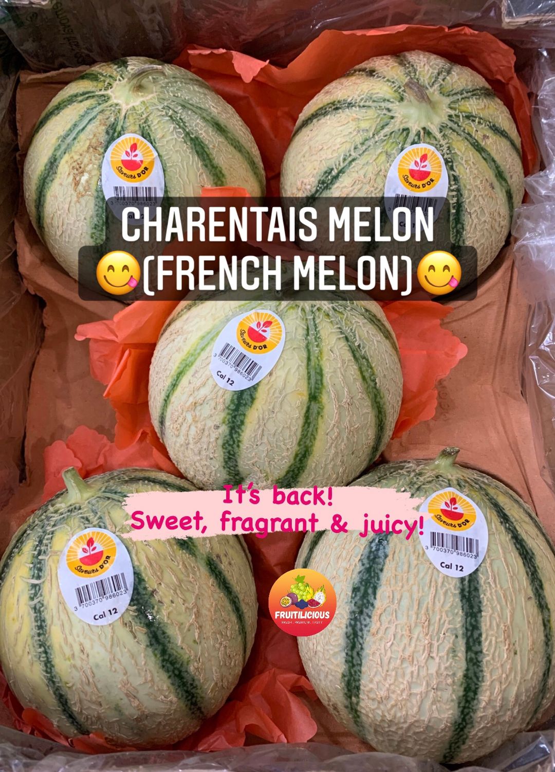 FRANCE CHARENTAIS MELON