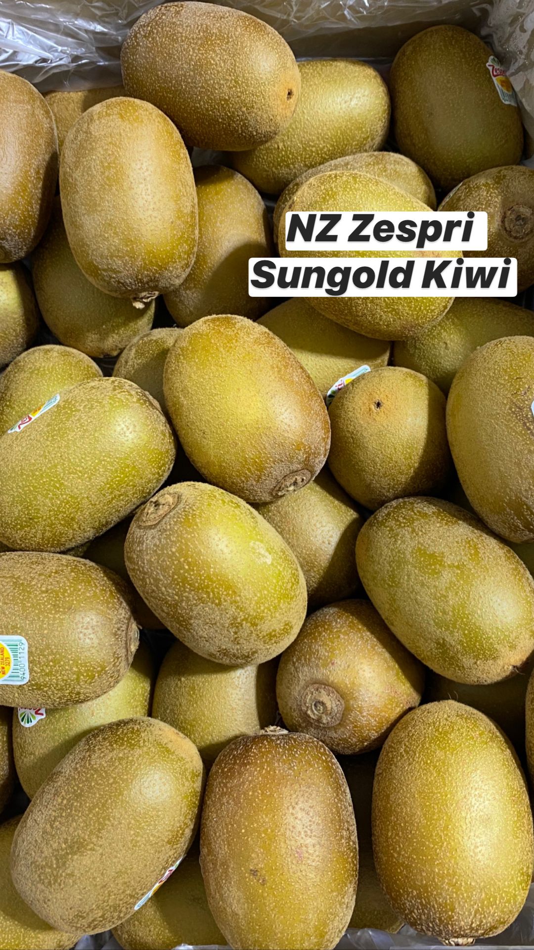 NZ Zespri Sungold Kiwi