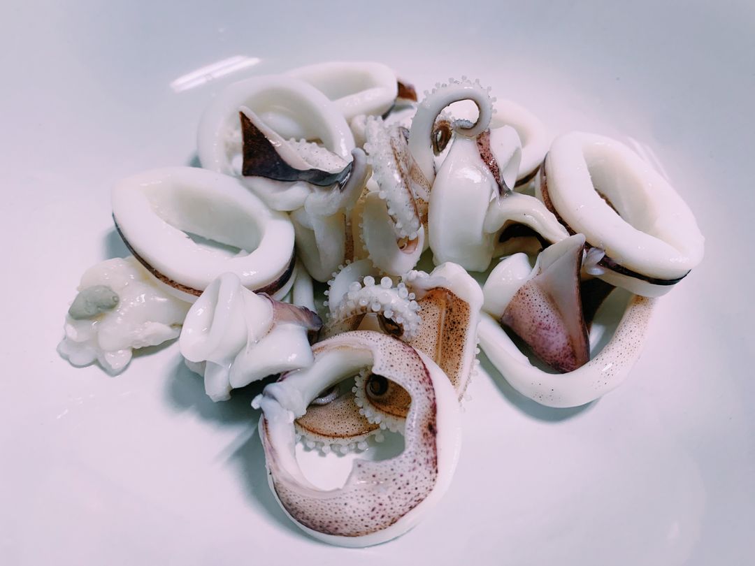 Squid 🦑 