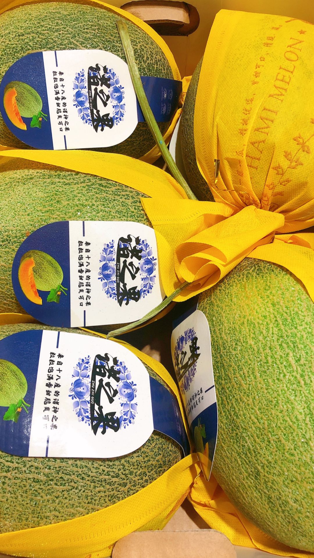 China Hami Melon