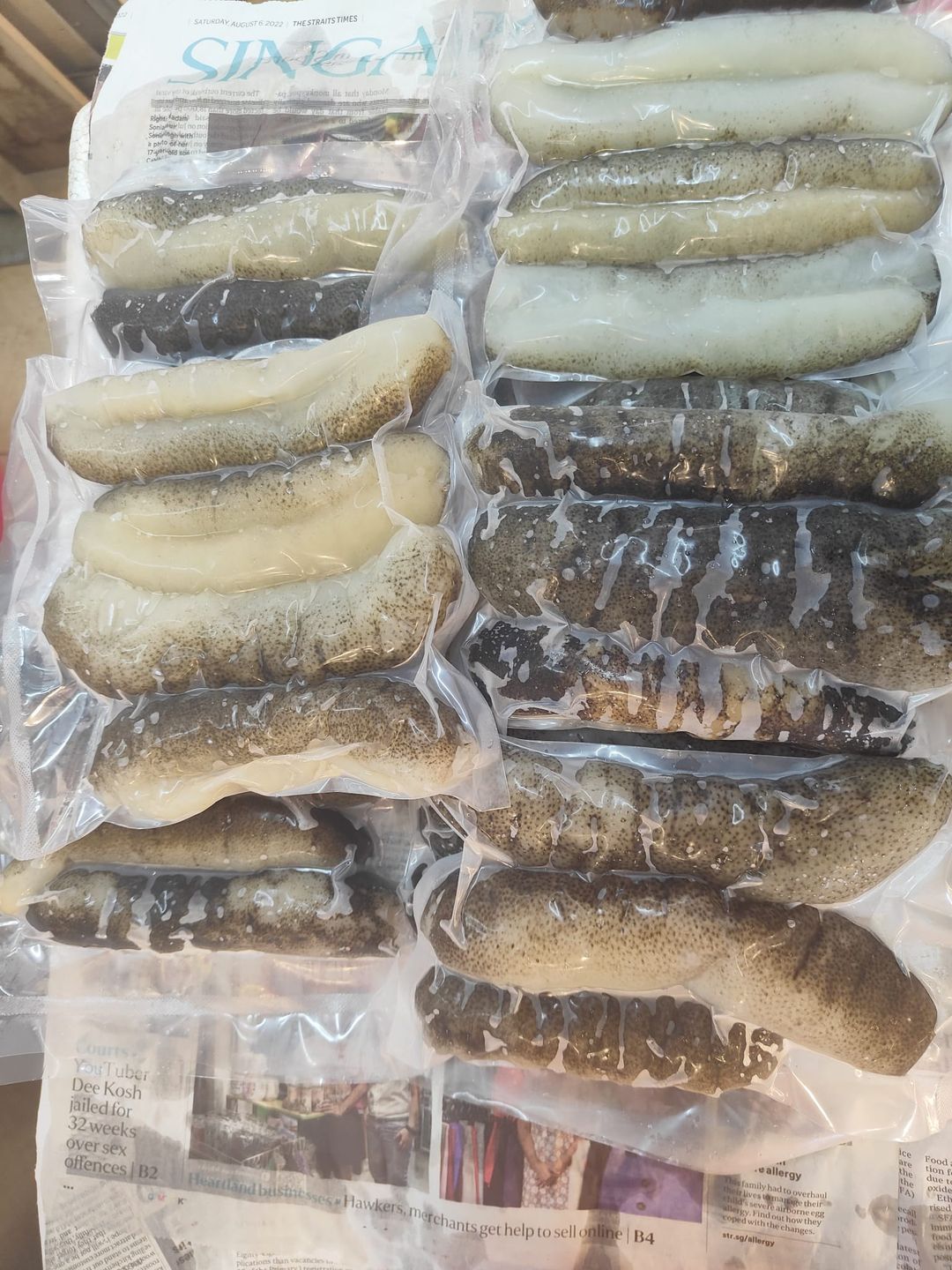 SEA CUCUMBER 海參