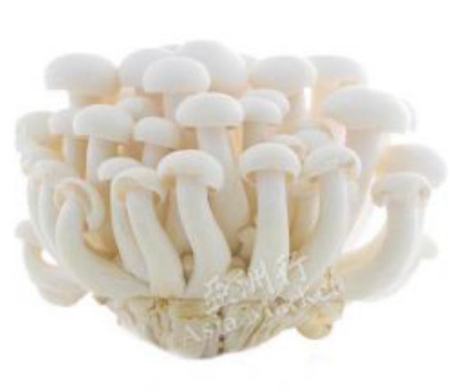 Shimeji Mushroom 