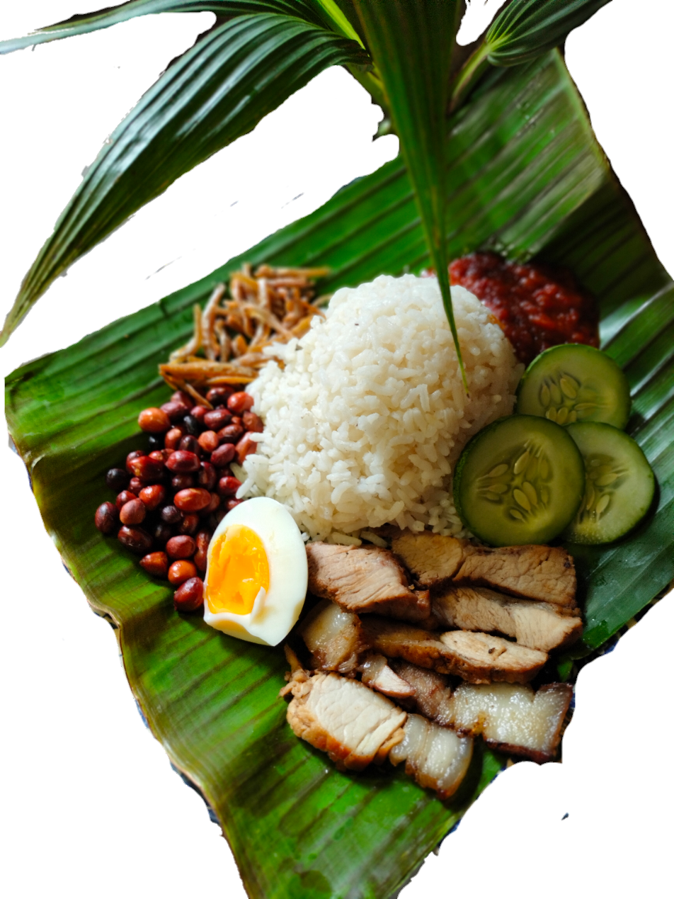 nasi lemak babi