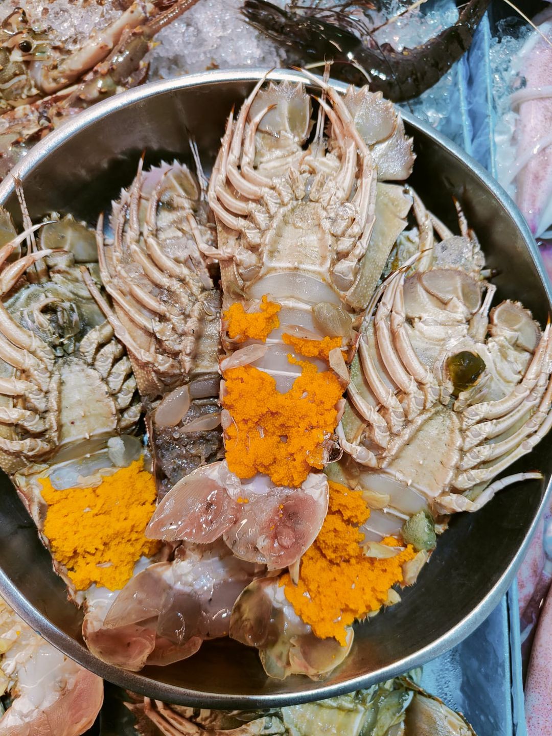 XL MSIA CRAYFISH