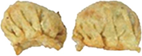 素锅贴 Vegetable Gyoza 