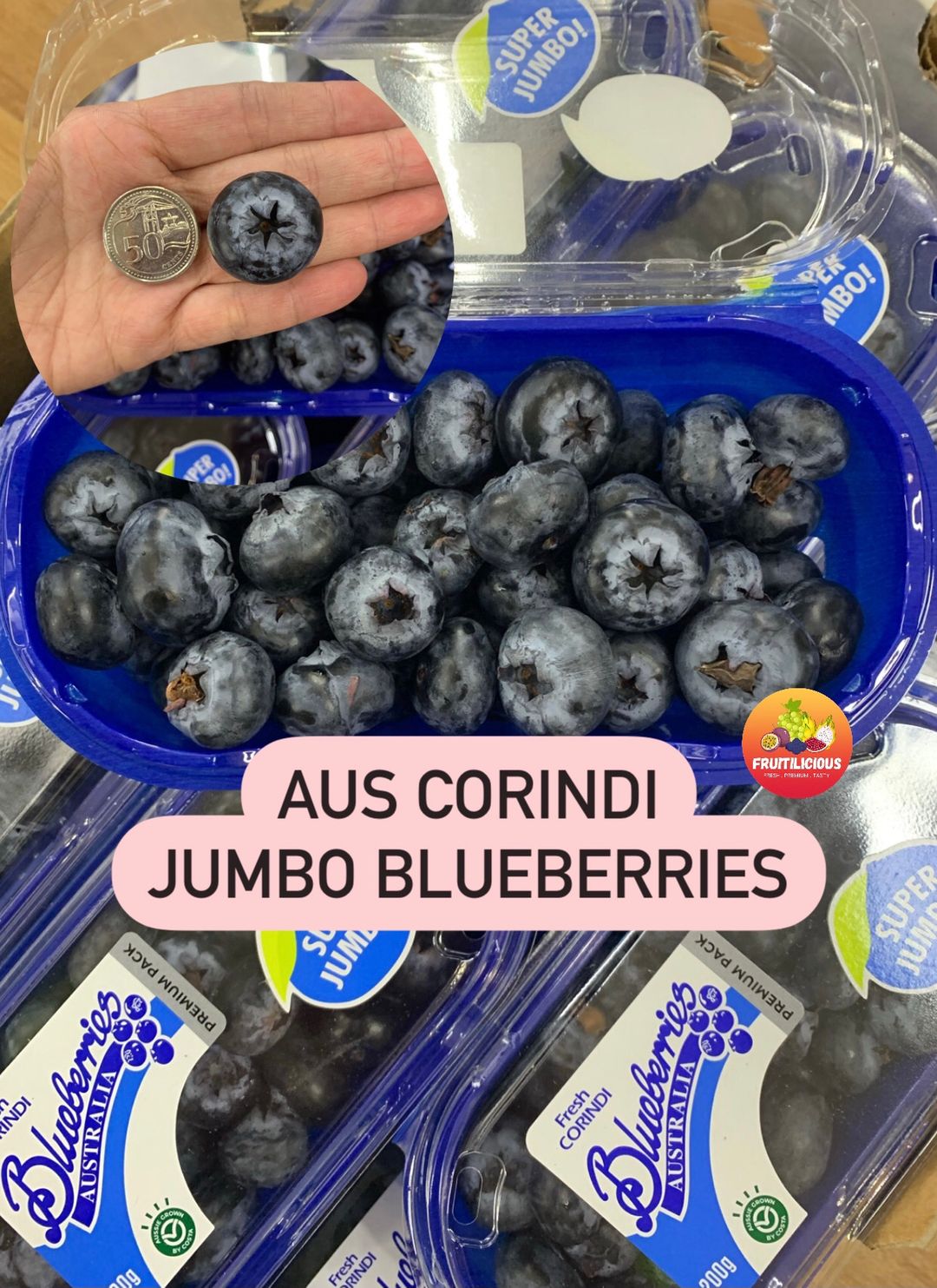 AUS CORINDI SUPER JUMBO BLUEBERRIES