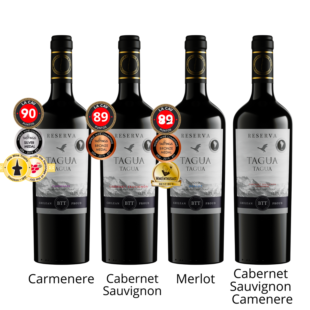 2020 Tagua Tagua Reserva Carmenere