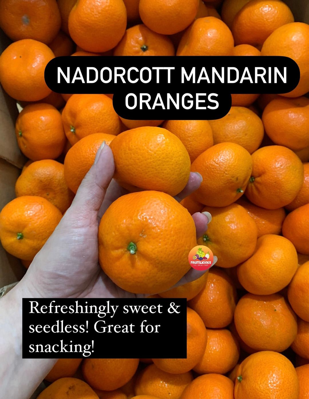 SA NADORCOTT MANDARIN ORANGES (1KG)