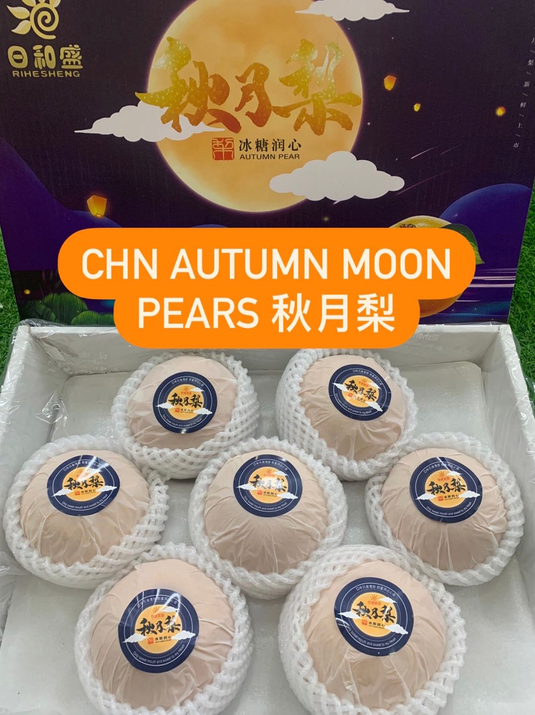 CHN AUTUMN MOON PEARS 秋月梨 (XL)