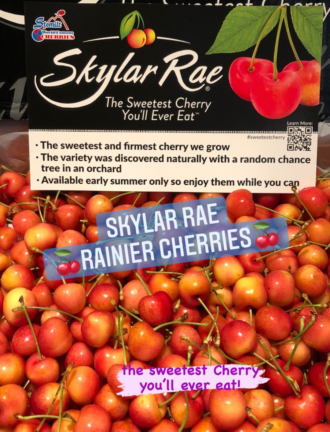 US SKYLAR RAE RAINIER CHERRIES 