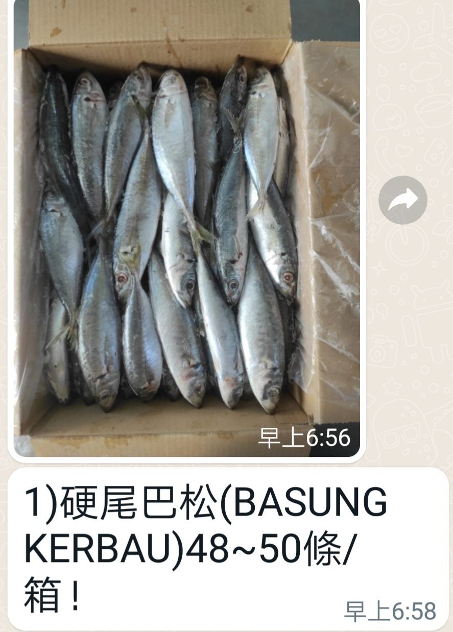 Ikan Basung Kerbau(Rm 9 x 5 kgs per/ctn)_hard body