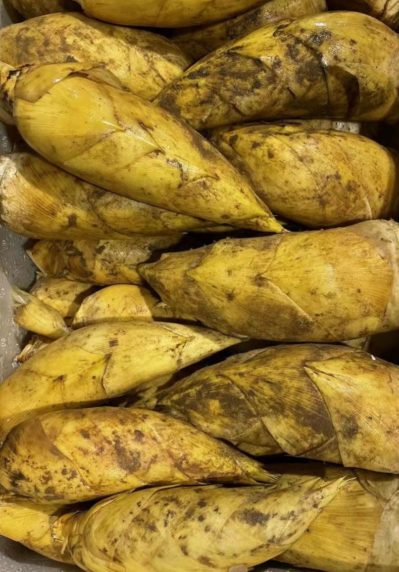 🎋冬笋 -$11/1kg
