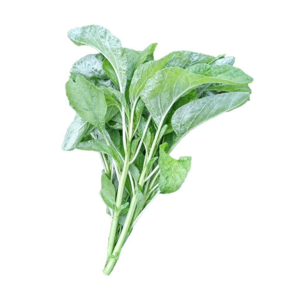 SPINACH / DAUN BAYAM
