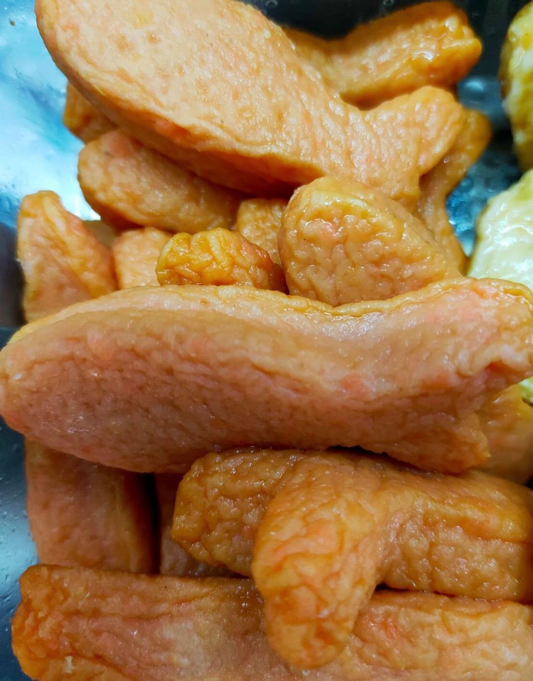 Salmon Fish