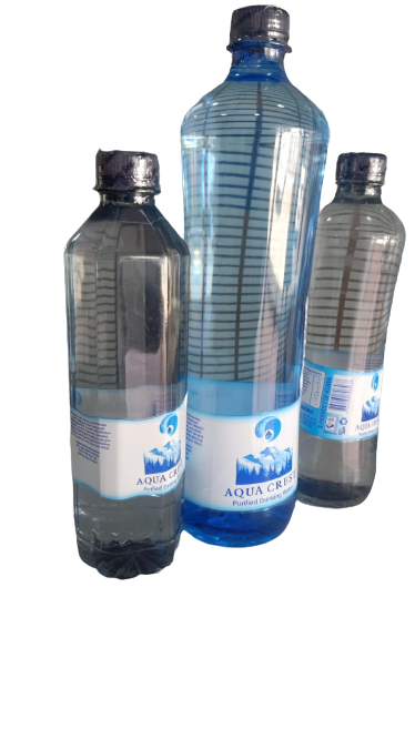 EXECUTIVE BOTTLE 500ML