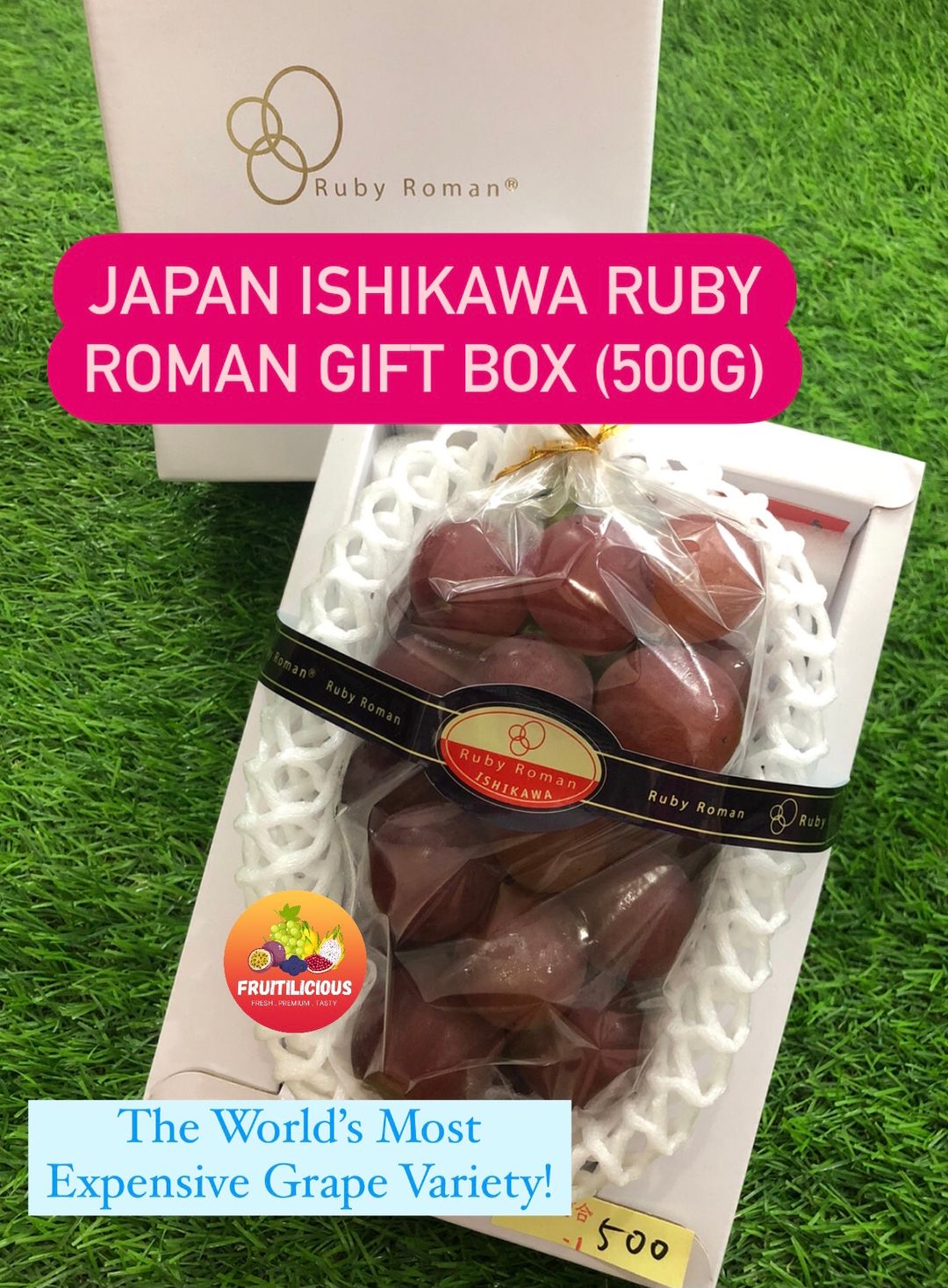 JPN RUBY ROMAN GRAPES GIFTBOX (500g)