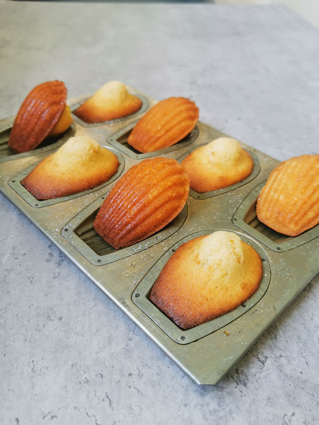 Vanilla Madeleines 