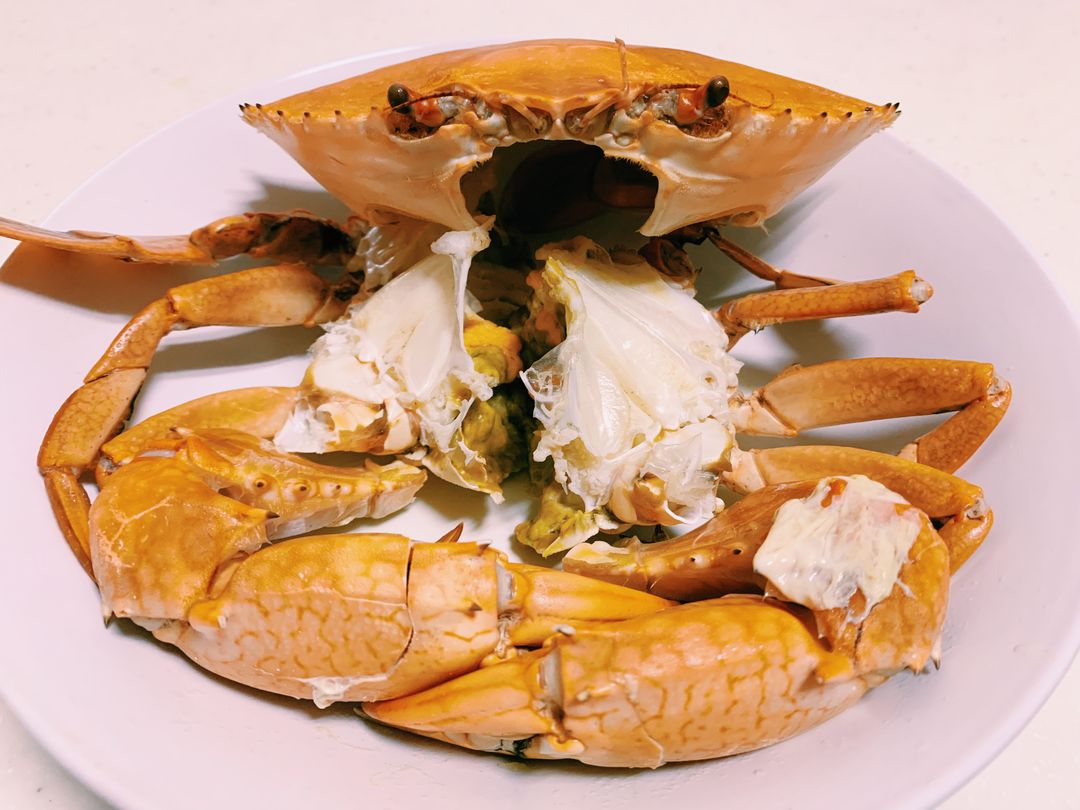 Crab 🦀 